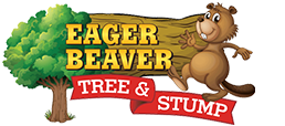 Eager Beaver Tree & Stump